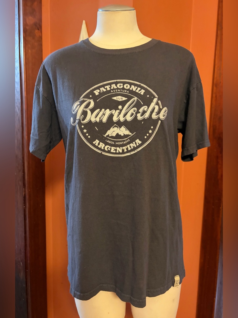 Patagonia Bariloche Graphic Tee-Gray